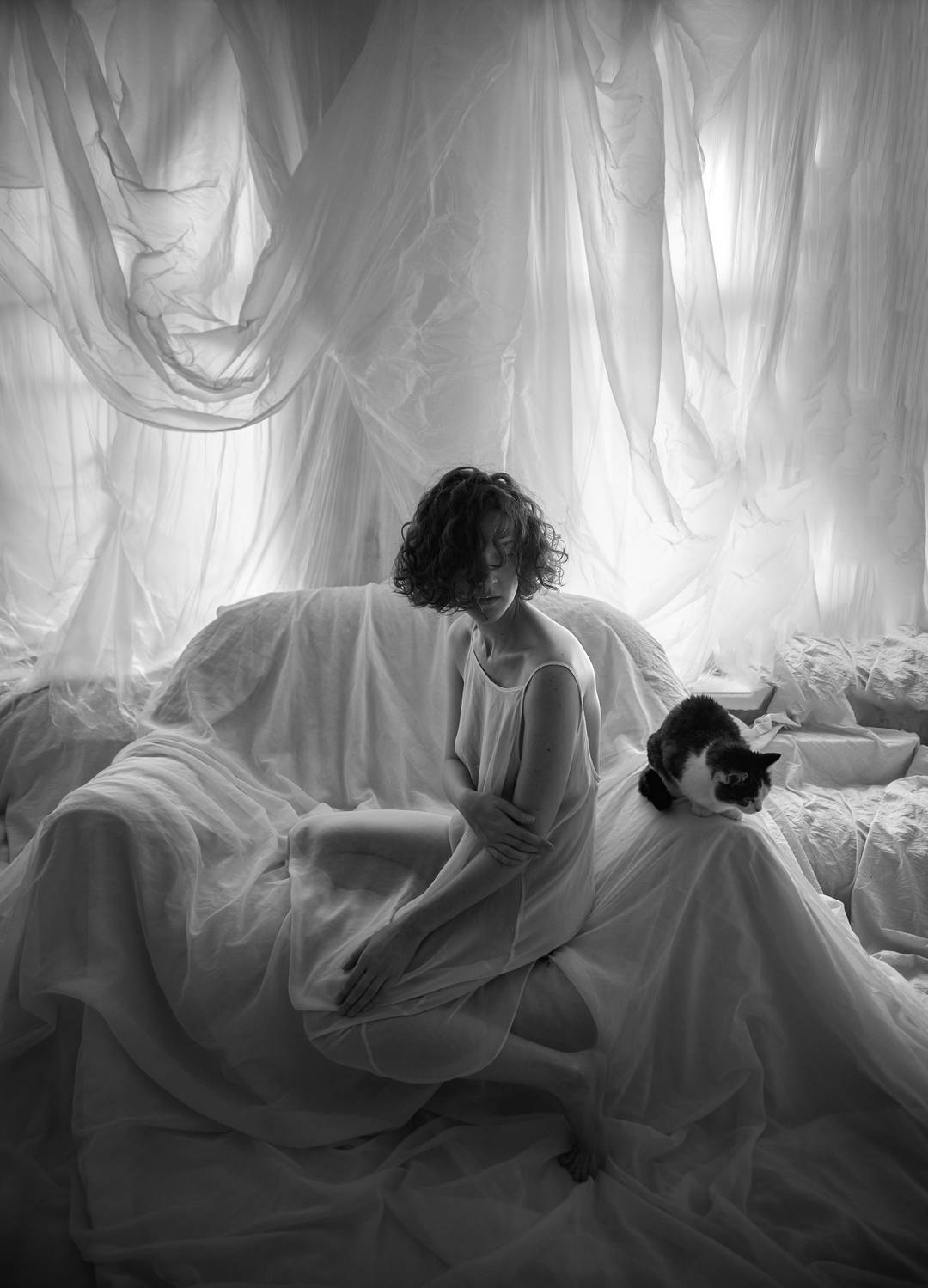 , Антон Покровский