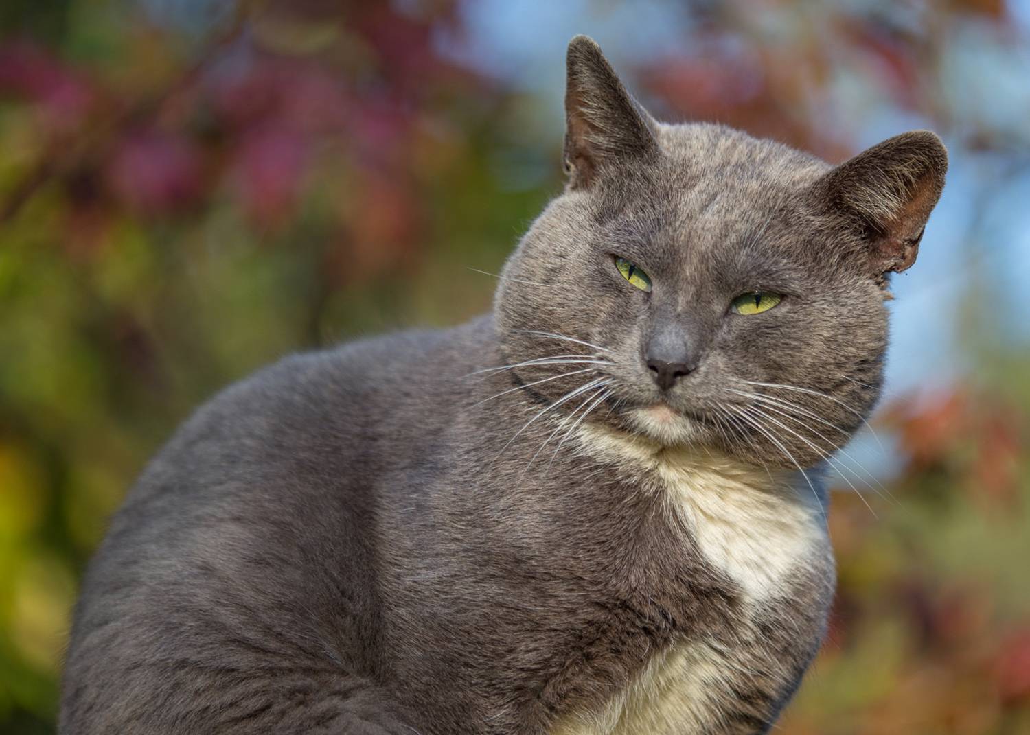 , Алексеев Сергей