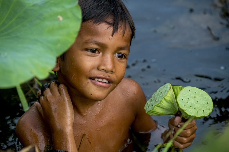 камбоджа, cambodia, siemriep, сиемреап, ангкор ват, angkorwat, лотос, лотосове поле, banteay srei temple, григорий беденко, grigoriy bedenko, Мальчик на лотосовом поле (Камбоджа) фото превью