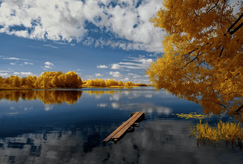 infrared, ик-фото, инфракрасное фото, инфракрасная фотография, пейзаж, лето Расплескалась синева фото превью