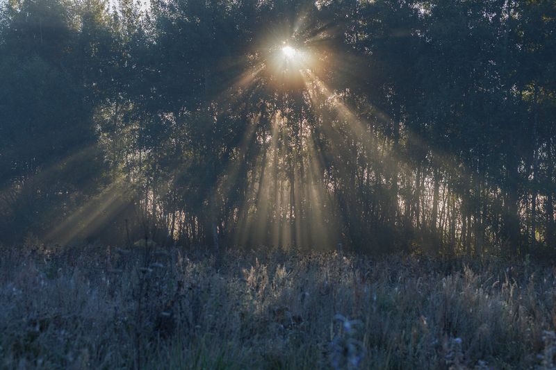 Объятия рассвета фото превью