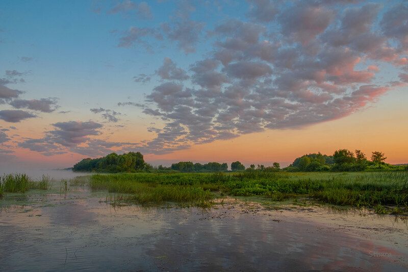 лето река облака туман природа пейзаж Утро на Оке. фото превью