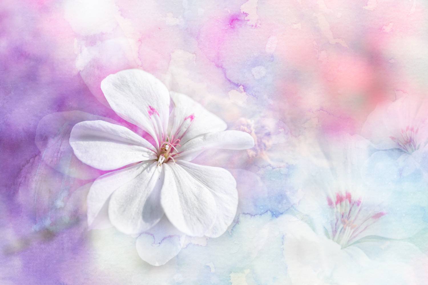 close-up, Копцев Игорь