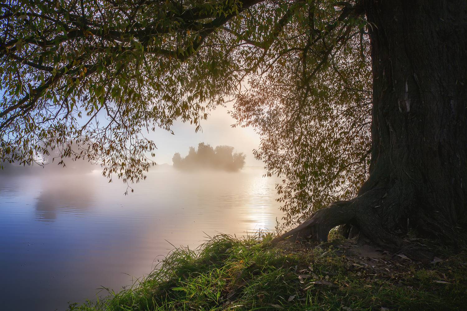 , Александр Аседач