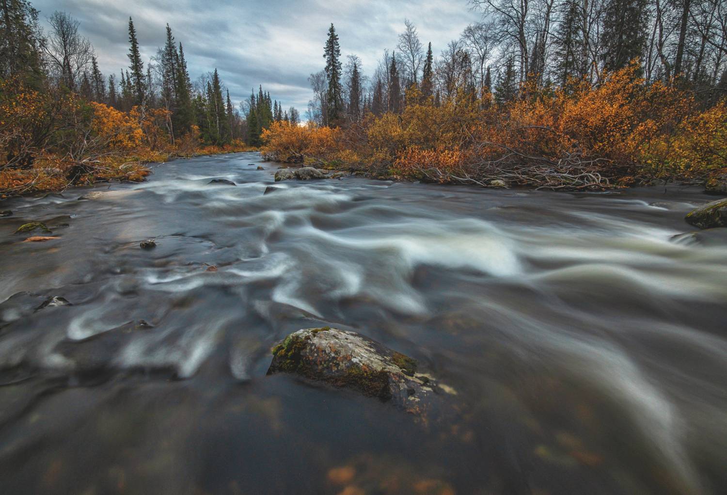 , Тихонов Сергей