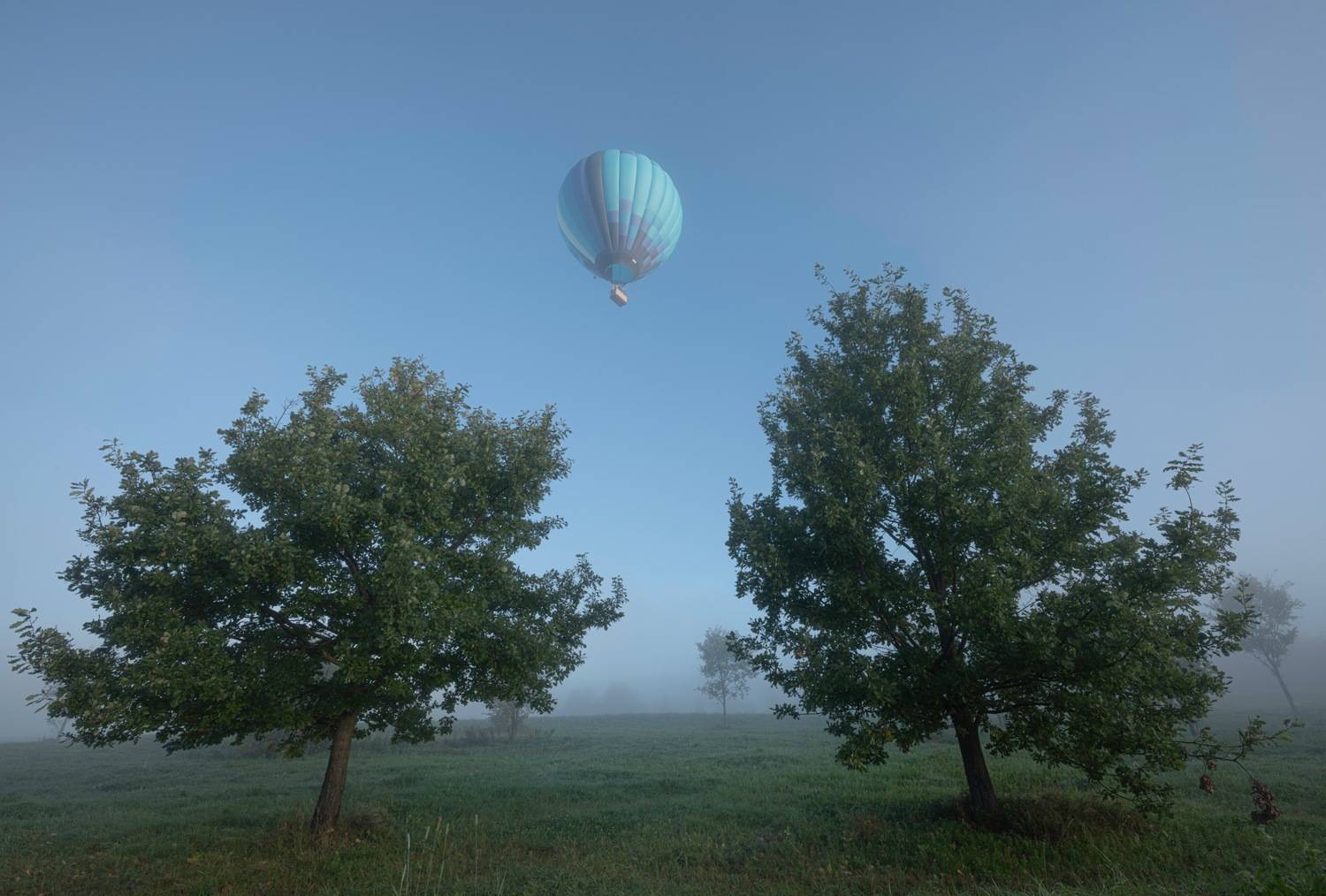 , Ширгин Сергей