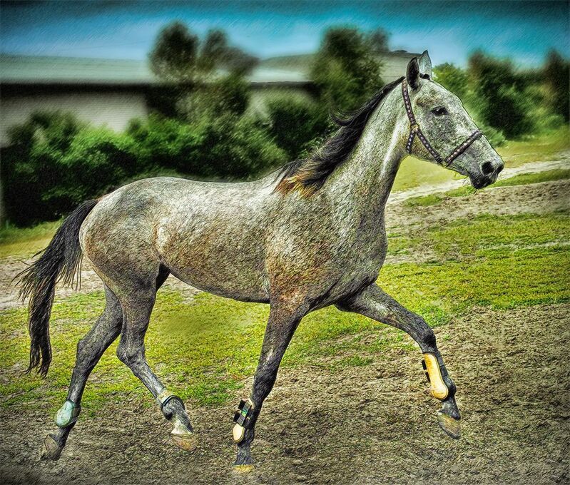 На свободу... фото превью