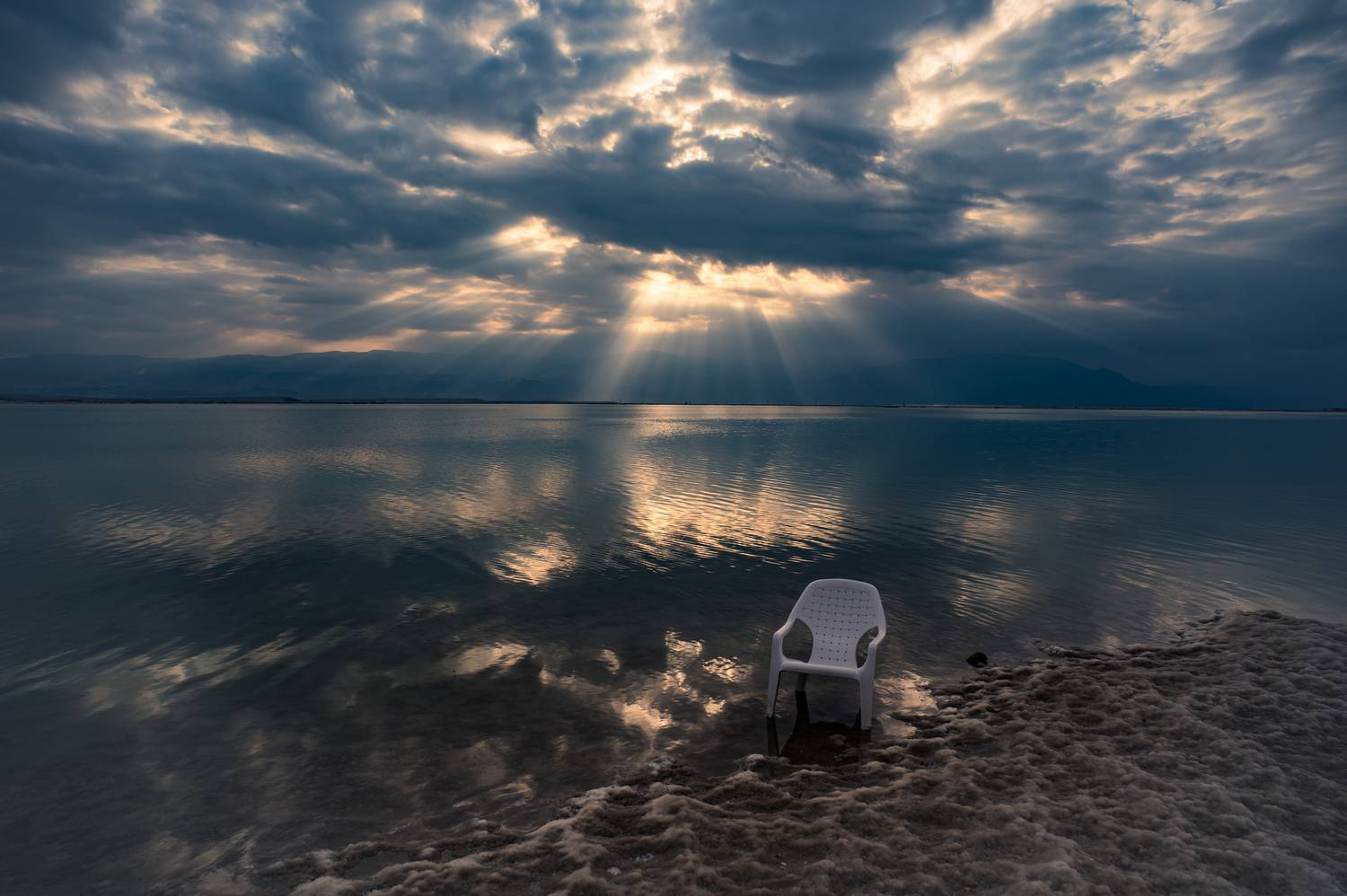 , David Solodar