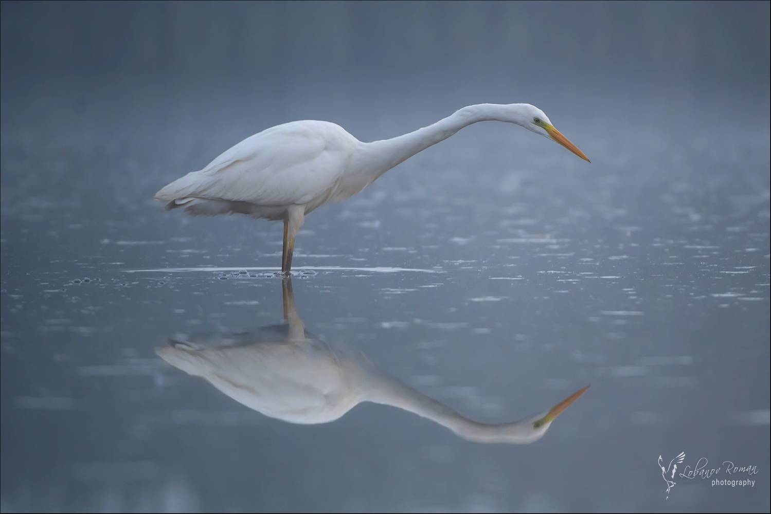 , Лобанов Роман