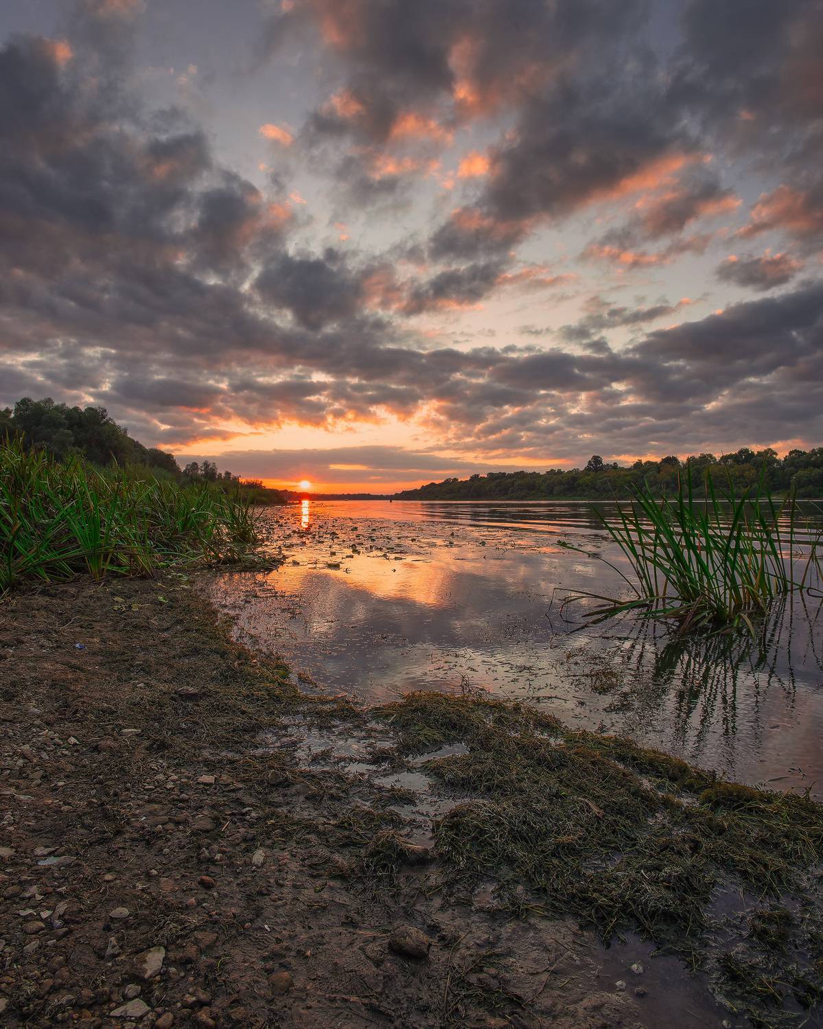 , Загруев Михаил