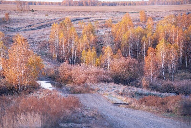 *** фото превью
