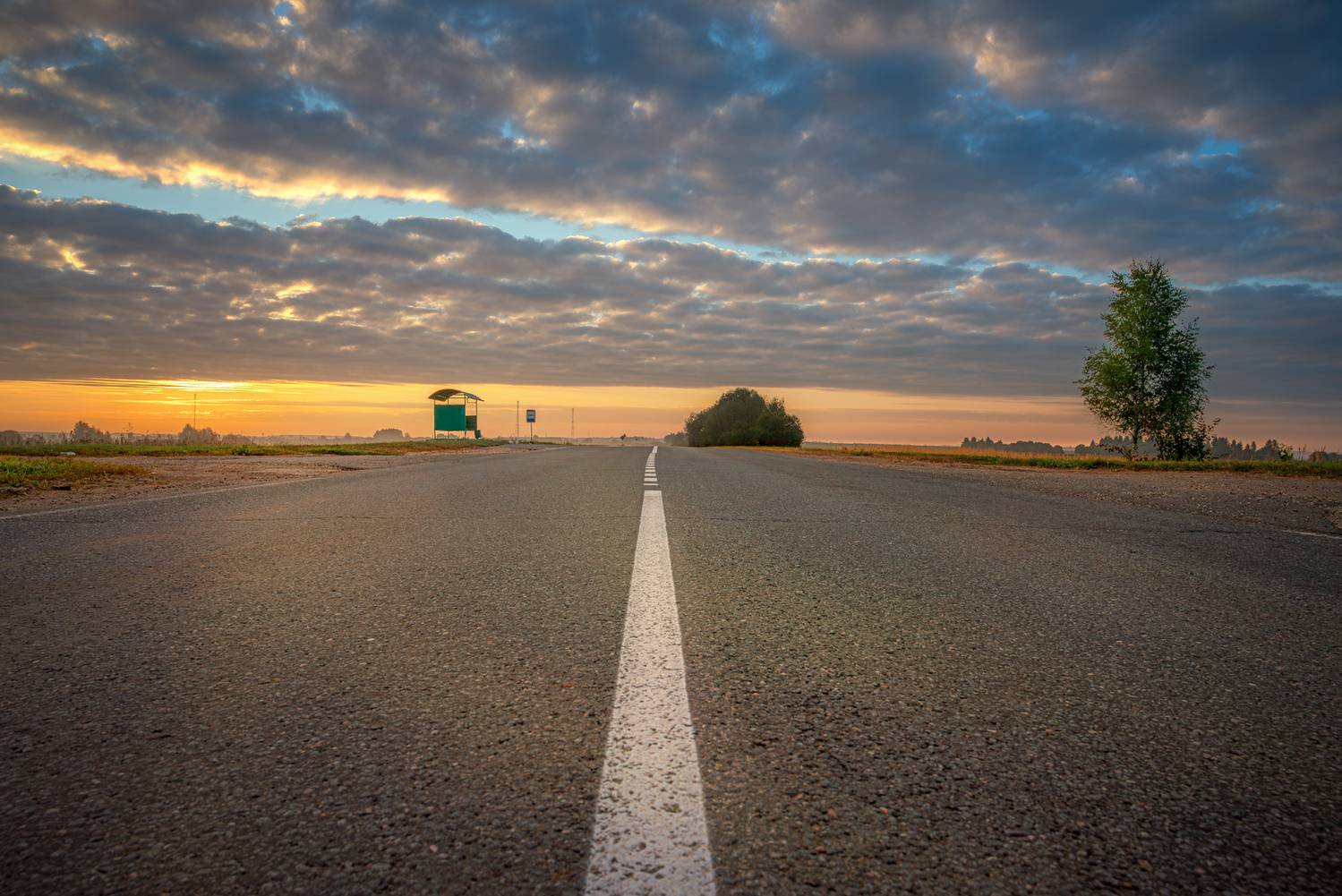 , Сережин Сережа