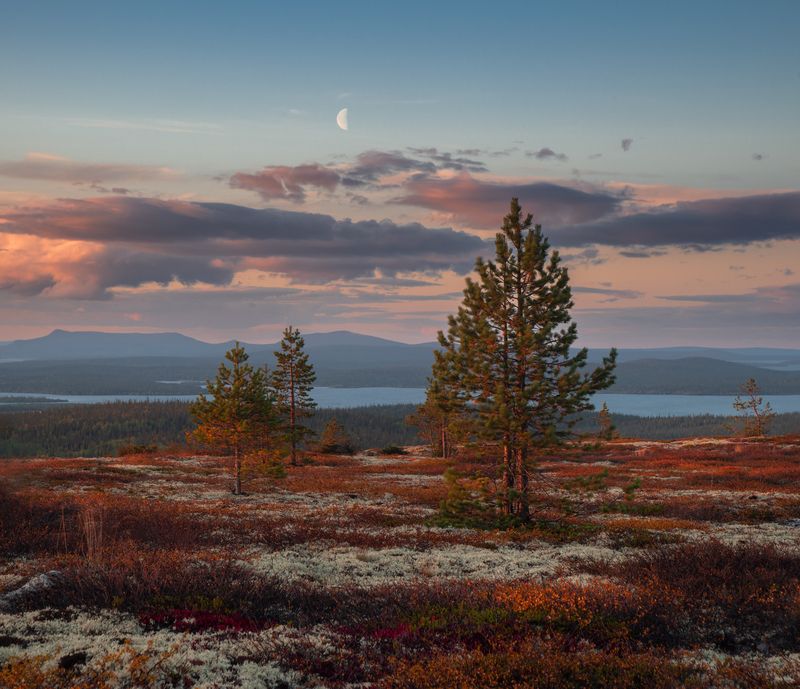 закат,осень,кольский,луна,хибины,имандра,озеро,свет,  фото превью