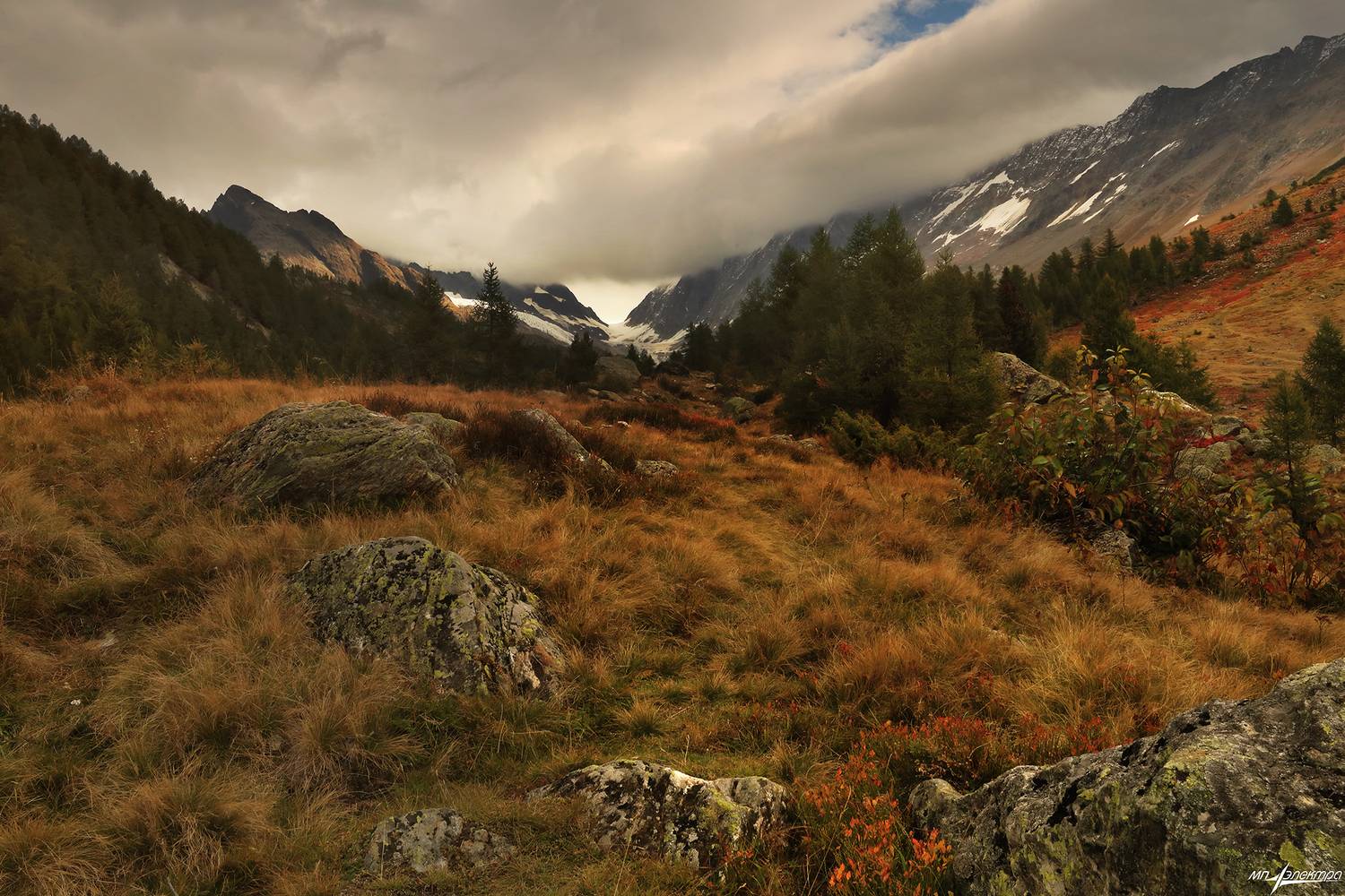 swiss, Матвеев Николай