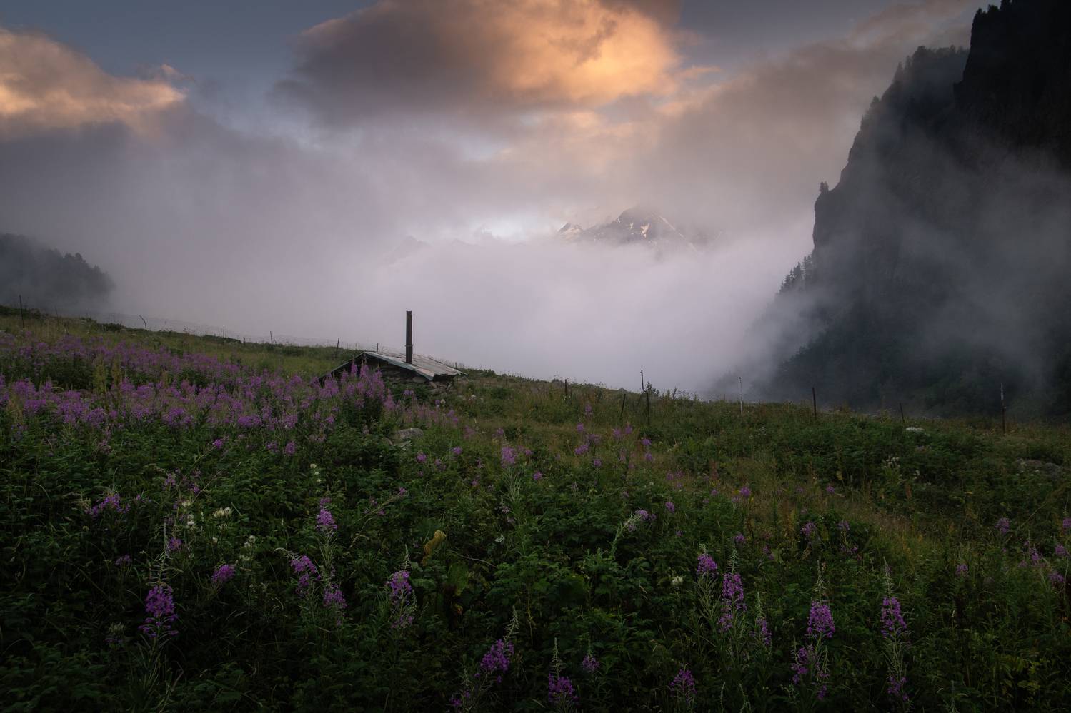 , Кузнецов Семён