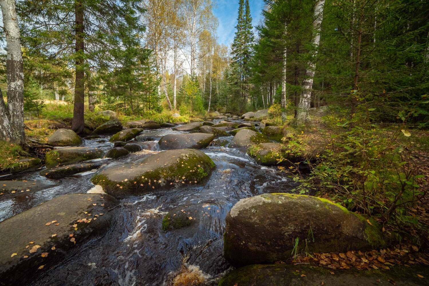 лес, урал, река, осень, камни, Жданов Дмитрий