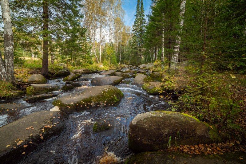 лес, урал, река, осень, камни Осень на пороге фото превью