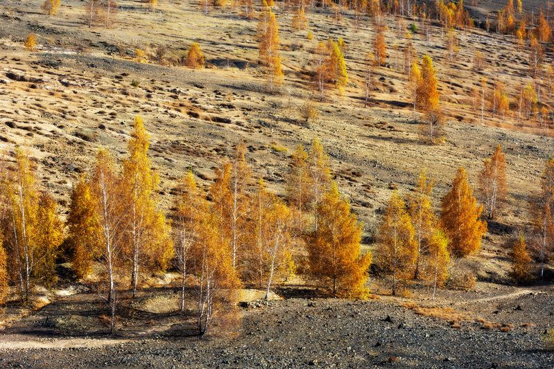 ******* фото превью