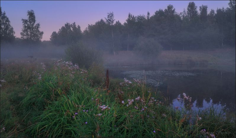 В ожидании луны фото превью
