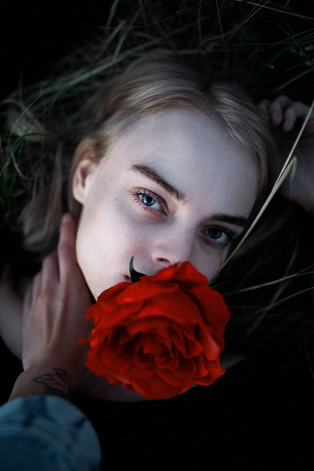 , Дзюба Нелли