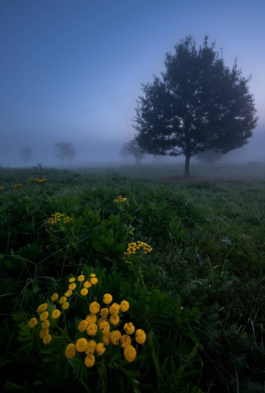 , Ширгин Сергей