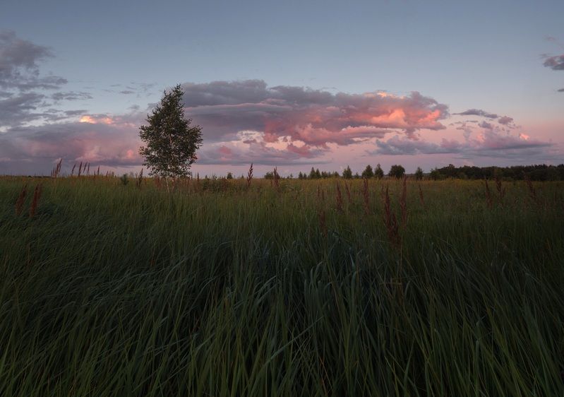 *** фото превью