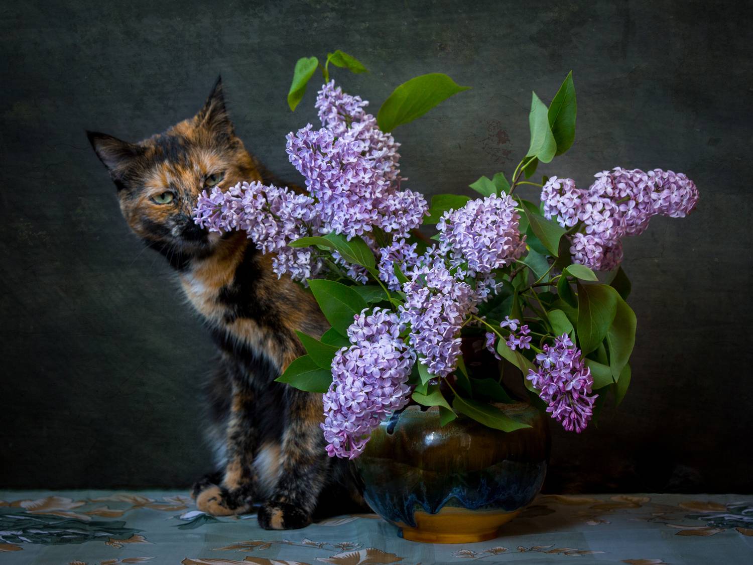 , Алексеев Сергей