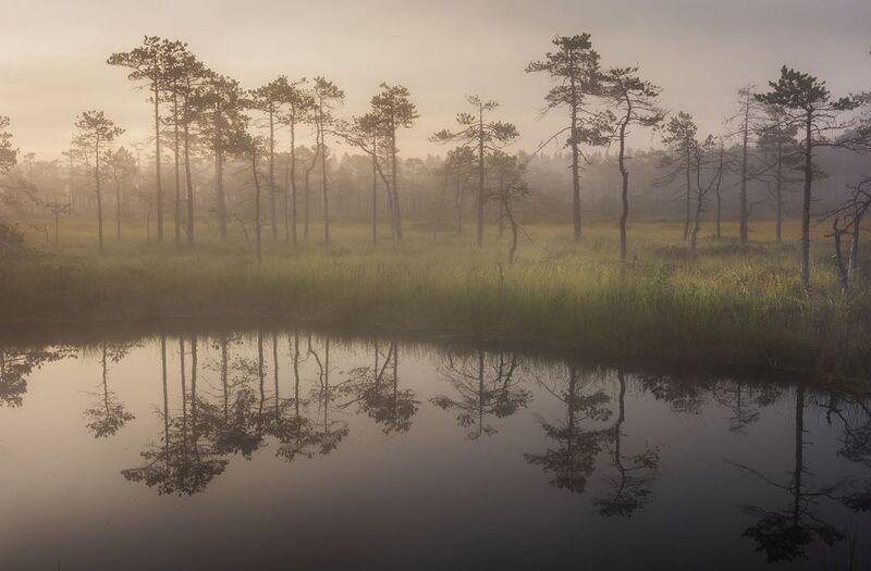 Утреннее зеркало  фото превью