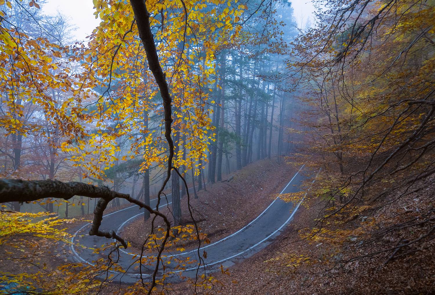 крым, заповедник, дорога, осень, горы, Владимир Карпухин