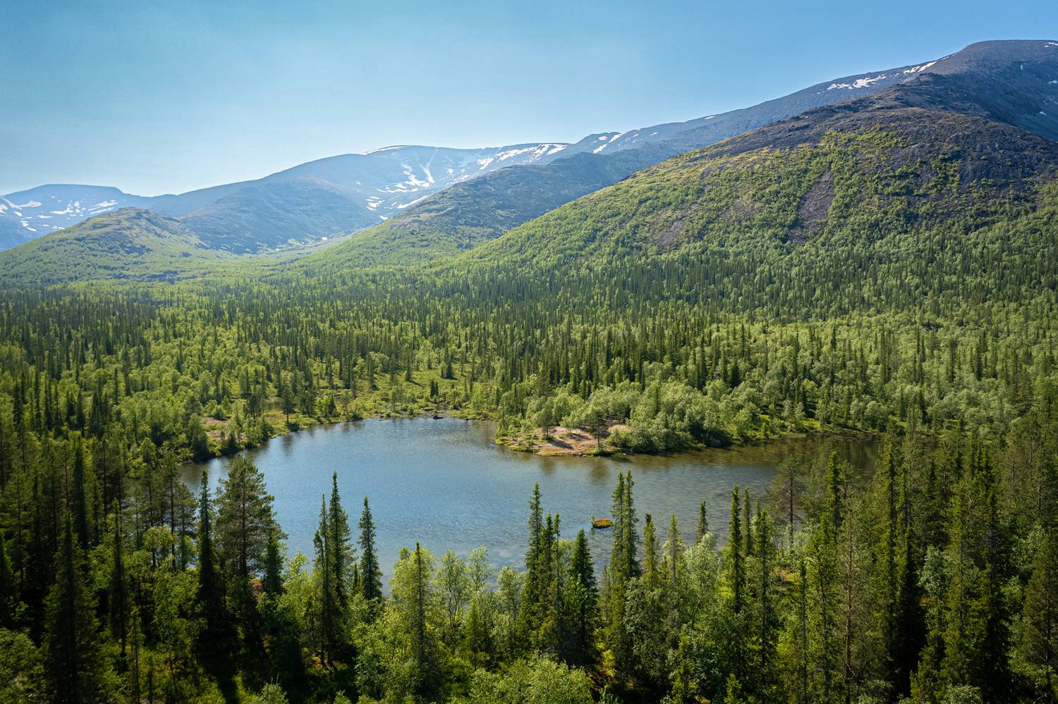 , Вячеслав Мельников