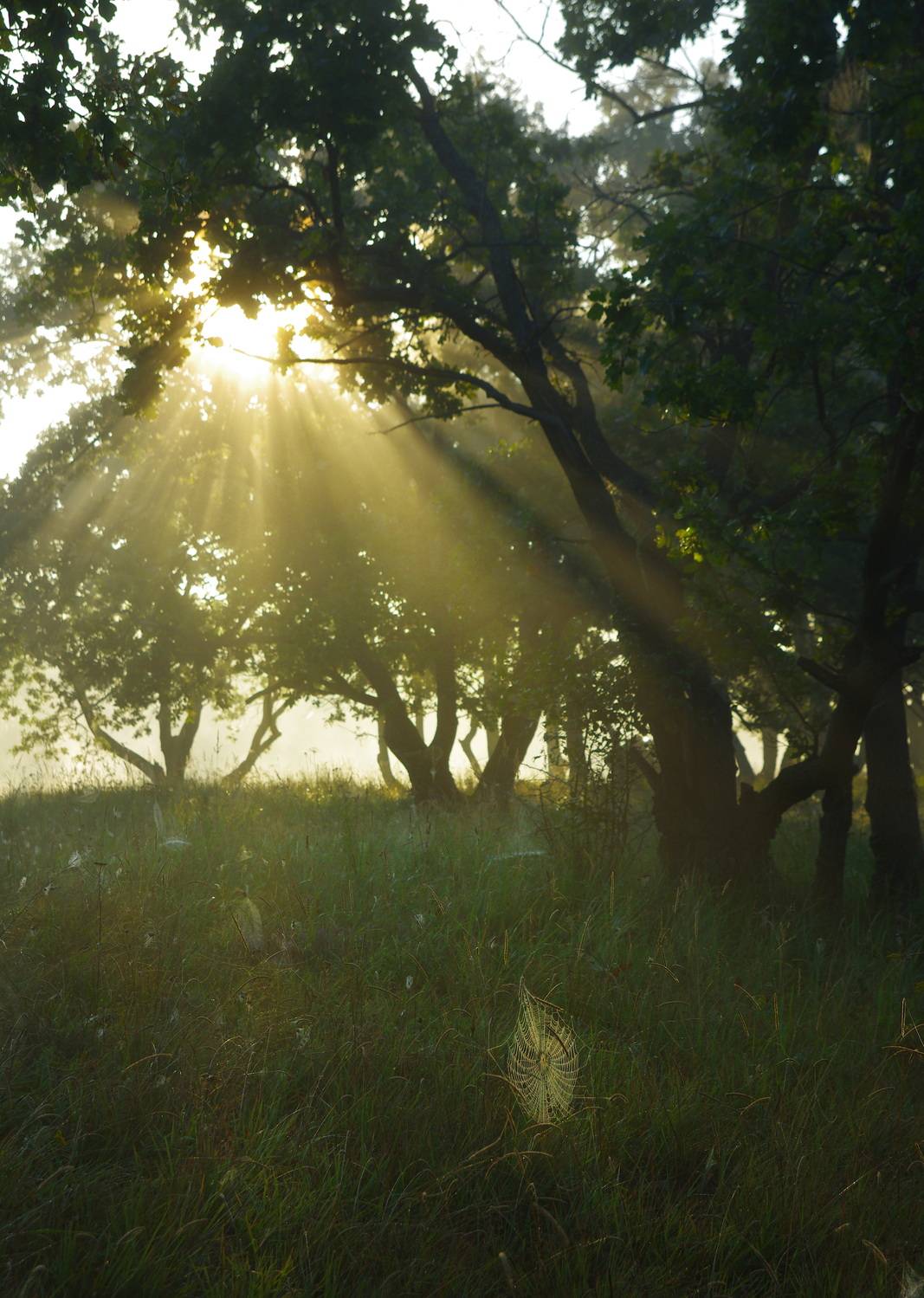 , Шляга Сергей