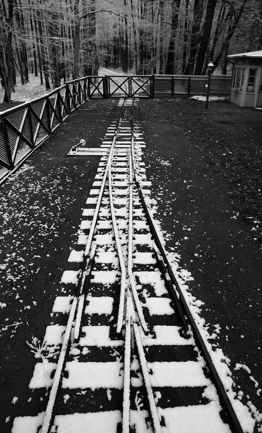 , Arnis Krūmiņ&scaron;