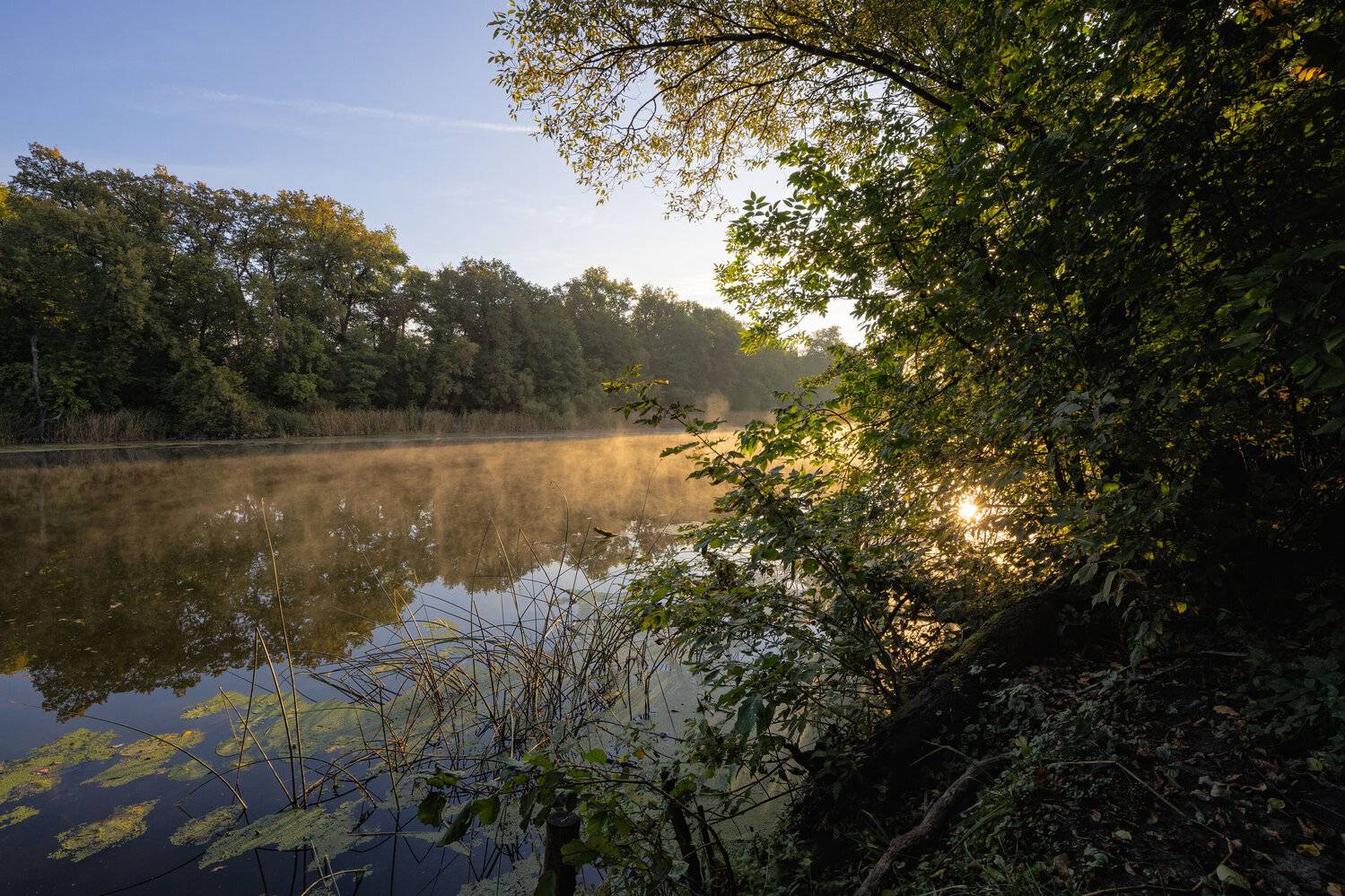 , Александр Бредихин