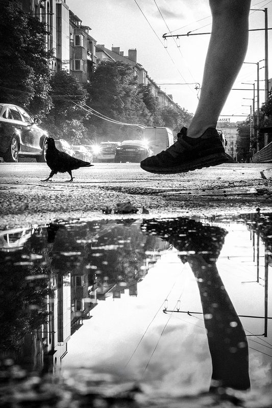 *** фото превью