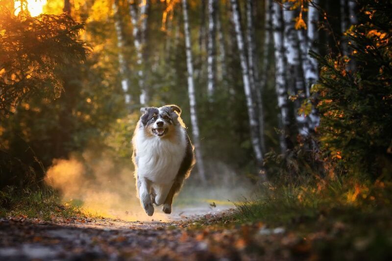 ..... фото превью