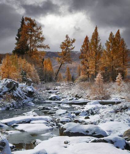 Первый снег