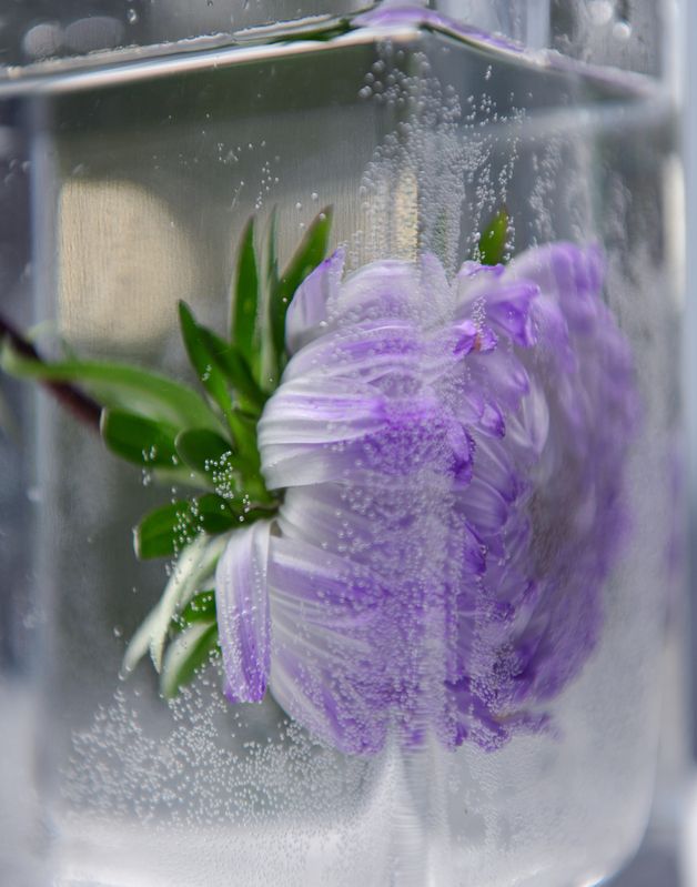 Цветочная абстракция фото превью