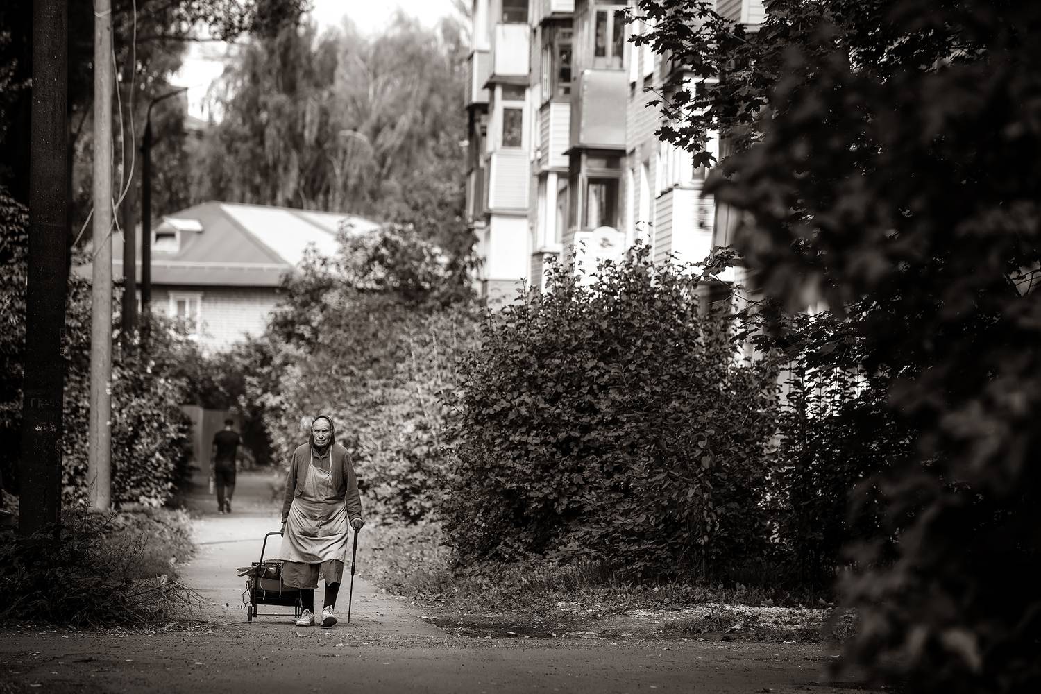 жанр, жанровый портрет, люди, улица, дорога, женщина, бабушка, сума, тележка, клюка, муром, осень, сентябрь, мусор, дворник, Алексей Трифонов