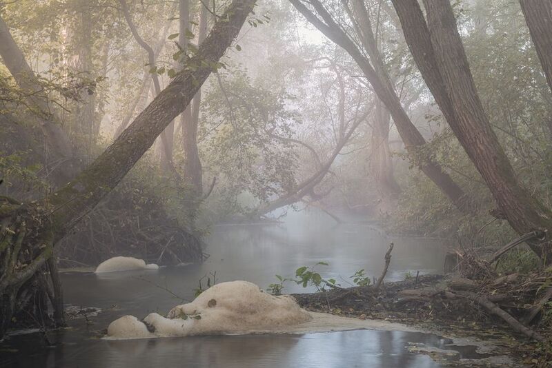 Туманное утро в объятиях леса фото превью