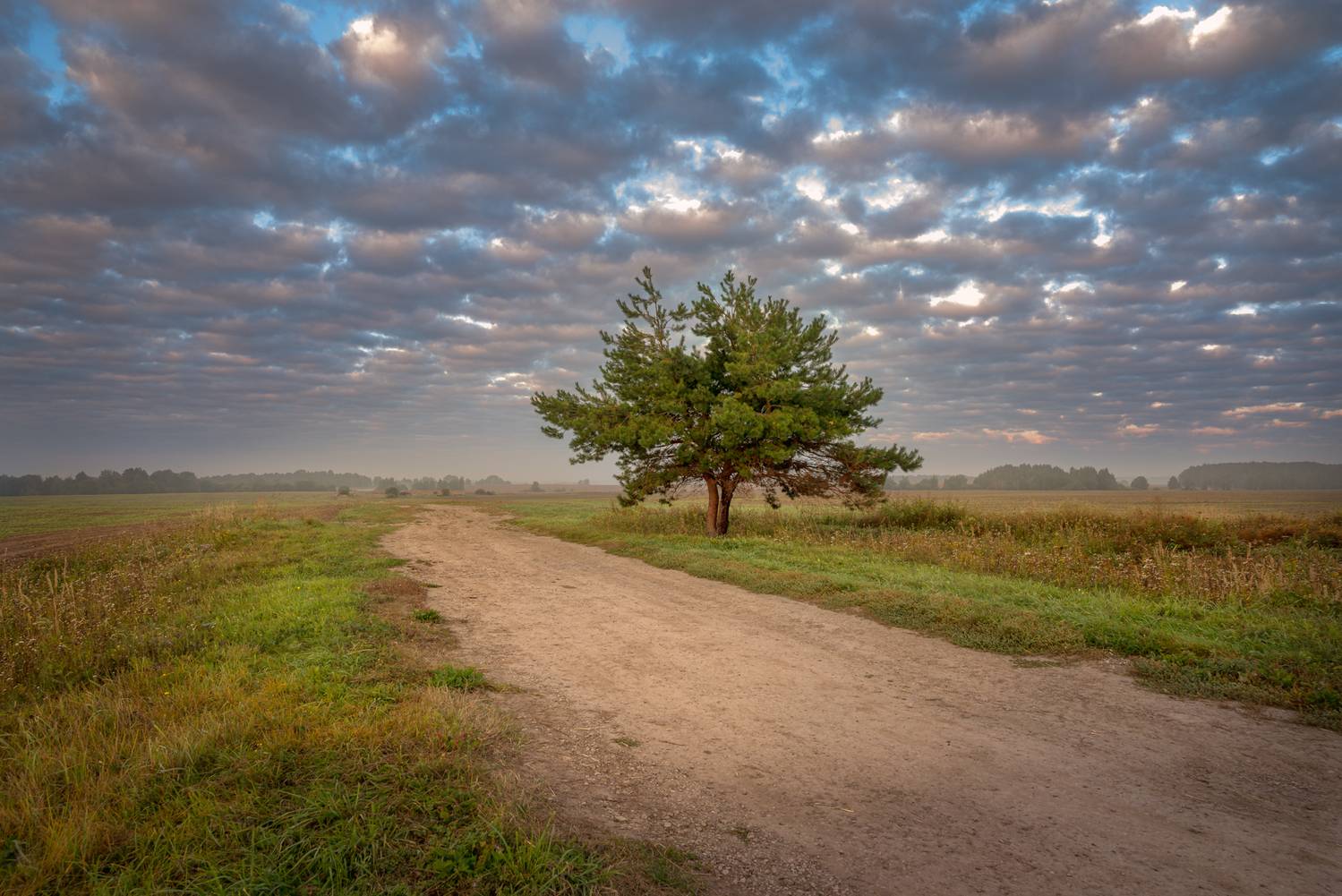 , Сережин Сережа