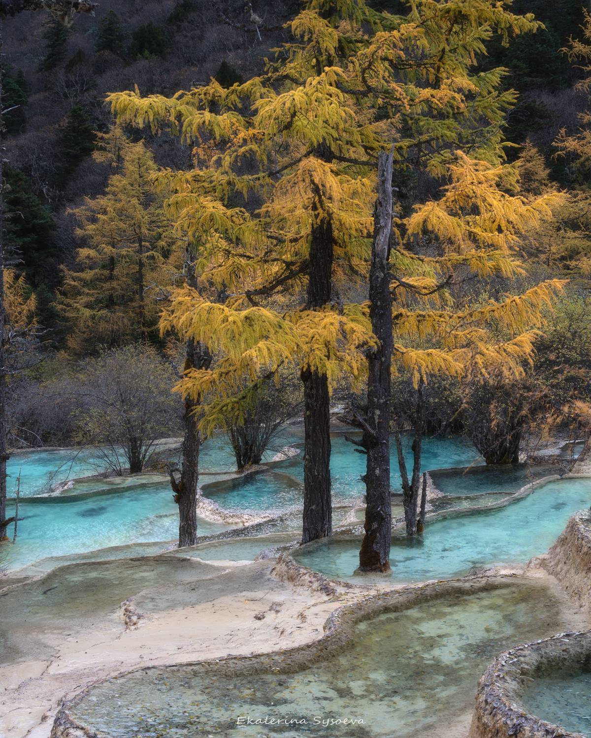 , Екатерина Сысоева