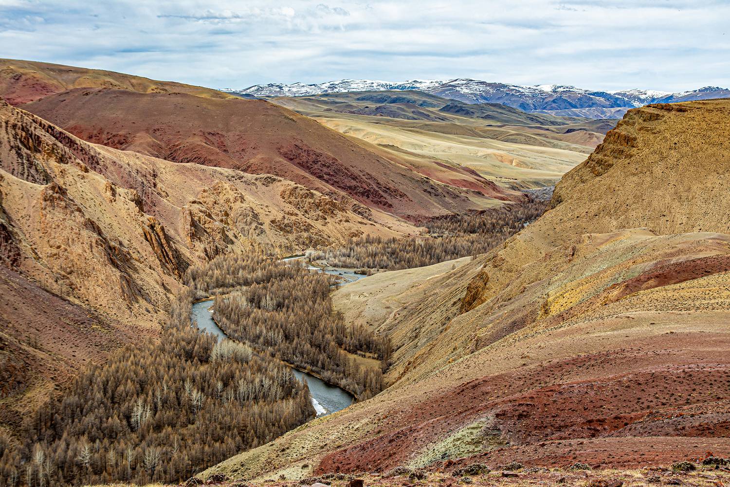 марсианская палитра, Татаркин Вячеслав