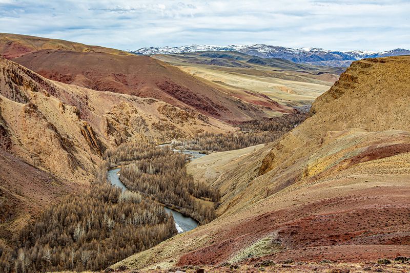марсианская палитра Марсианская палитра фото превью