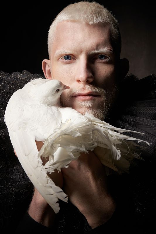 Паша и голубь фото превью