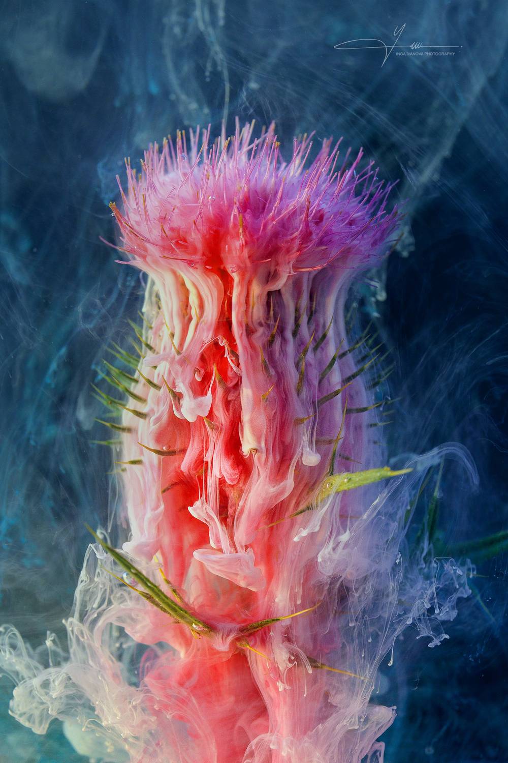 , EPCA/B, P IAAP, GPU CR1 Inga Ivanova