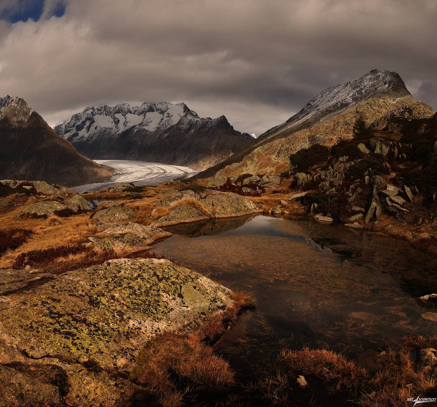 swiss, Матвеев Николай