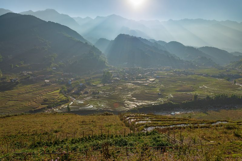 вьетнам, сапа, рисовые террасы Са Па фото превью
