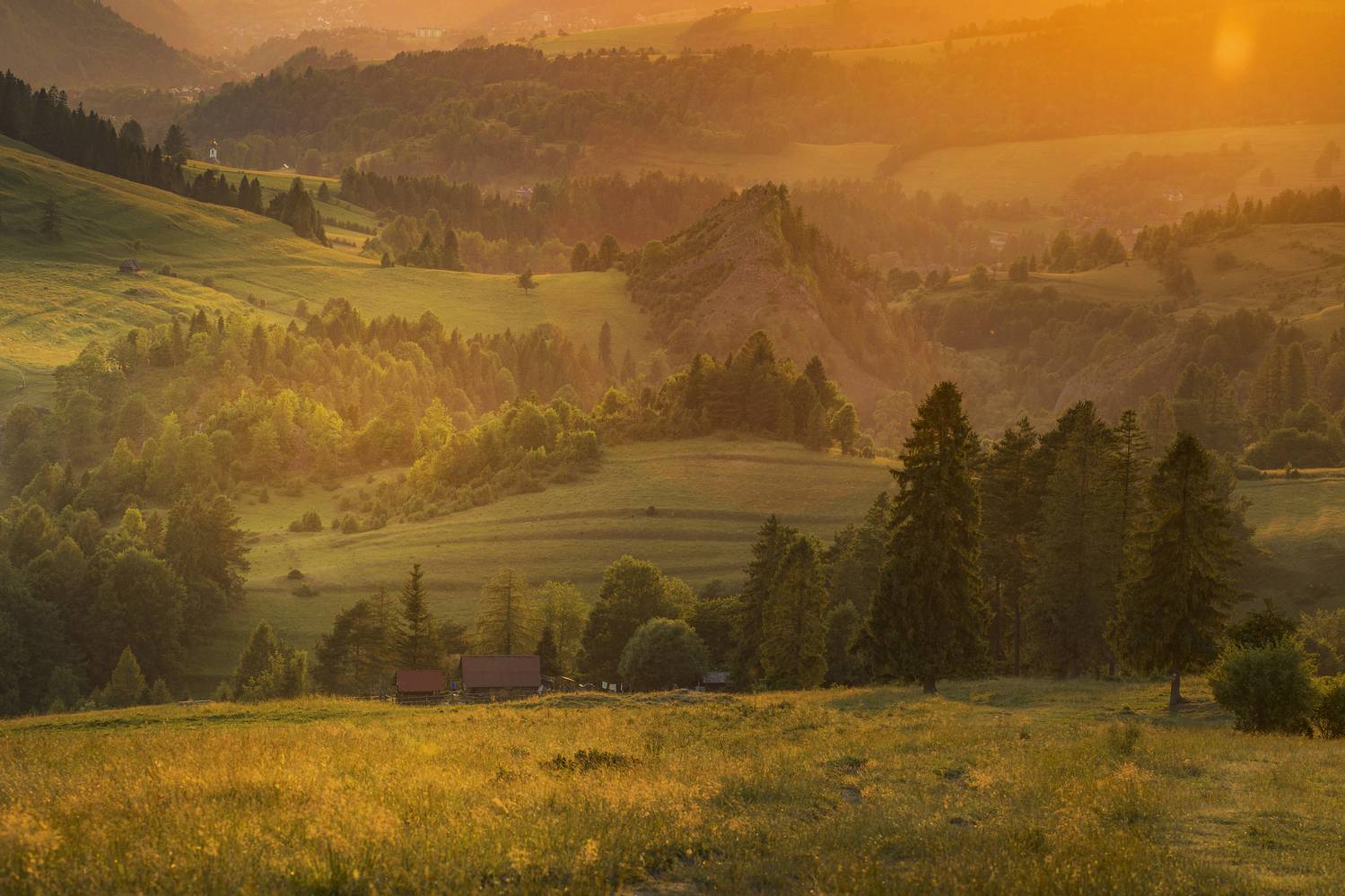 Fog, Landscape, Tree, Nature, Forest, Morning, Dawn, Hill, Pieniny, Poland, Damian Cyfka