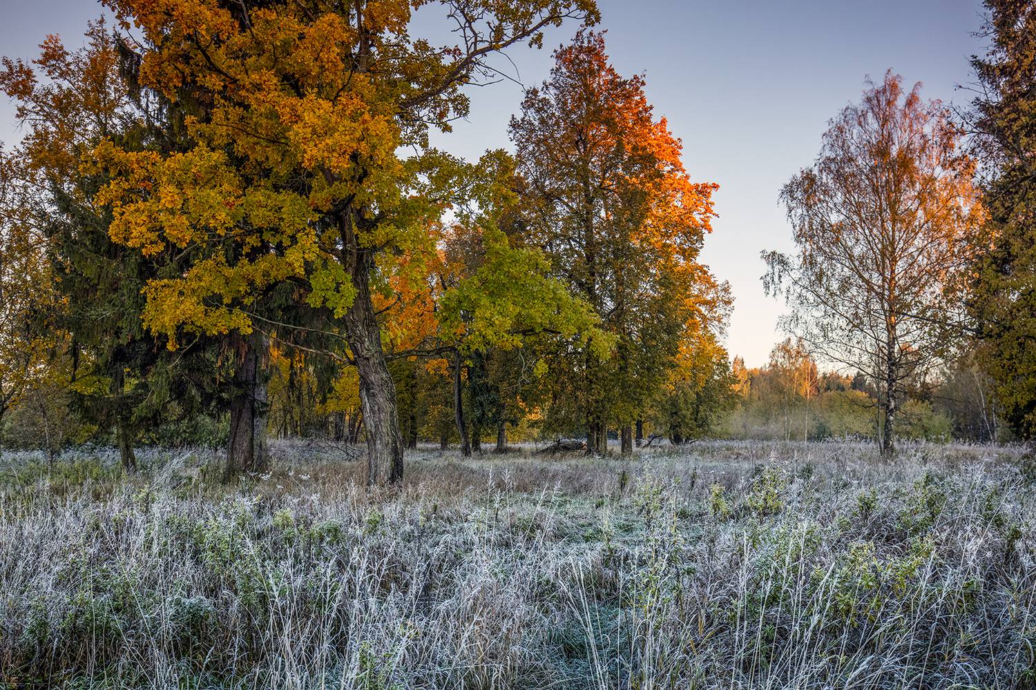 ,  александр михайлов
