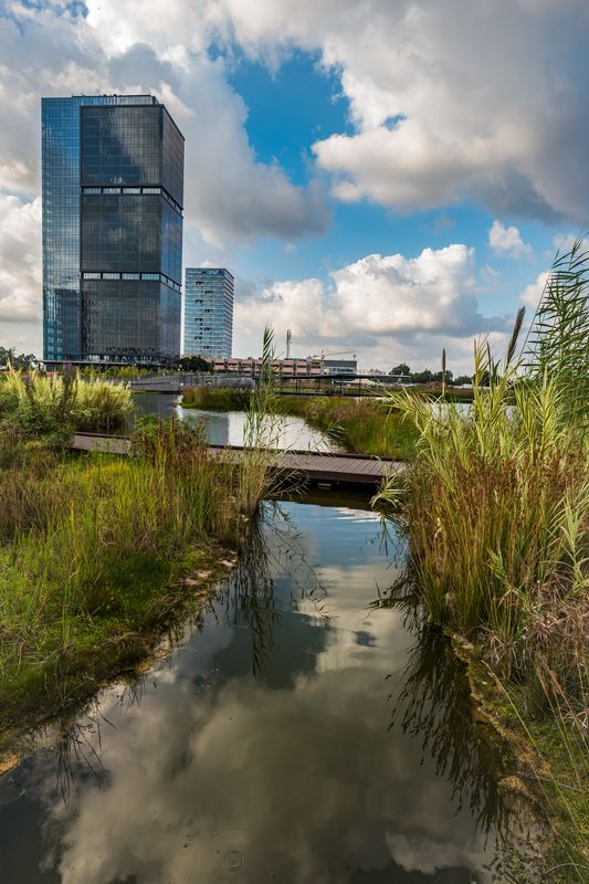 The ecological lake in Petah Tikva фото превью